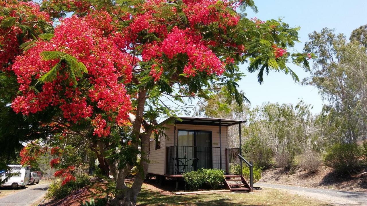 فندق Mt Larcom Tourist Park Mount Larcom المظهر الخارجي الصورة