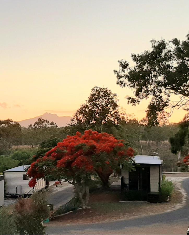 فندق Mt Larcom Tourist Park Mount Larcom المظهر الخارجي الصورة